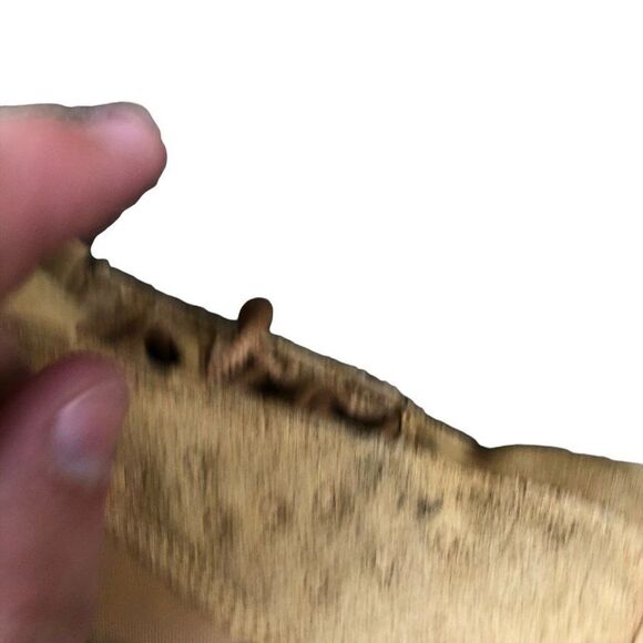 RARE 2017 Air Jordan 13 Retro Wheat Size 4 Brown Suede - Picture 13 of 16